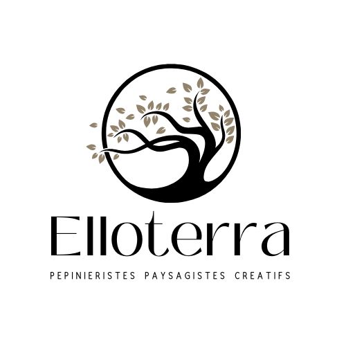 Elloterra
