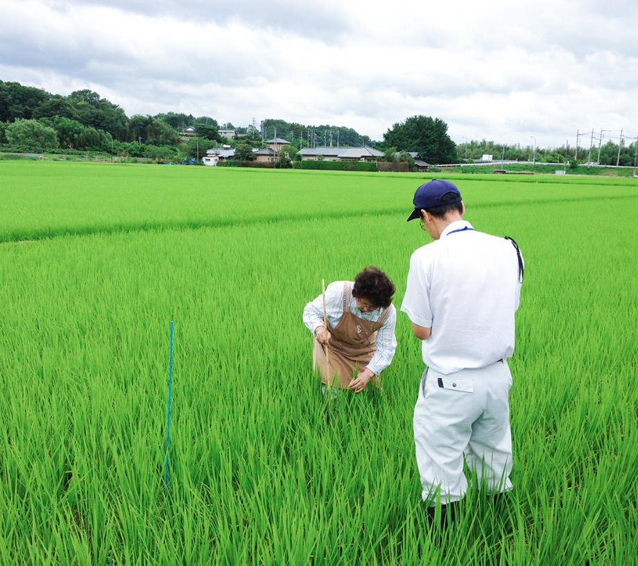 Utilizing BIOTREX analysis as an indicator of “Paddy Fields Rich in Life”