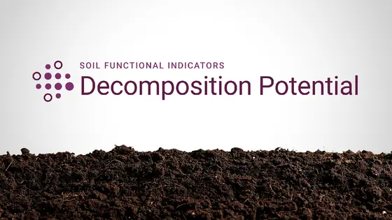 Decomposition Potential: Measuring Microbial Capacity to Break Down Organic Matter