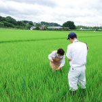 Utilizing BIOTREX analysis as an indicator of “Paddy Fields Rich in Life”