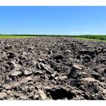 Analysing soil organic carbon is not enough