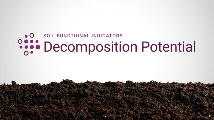 Decomposition Potential Indicator article