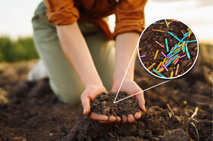 Microbial products evaluation - cover photo
